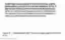 Fig. 09 - Caninized anti-nerve growth factor antibodies