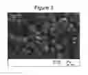 Fig. 05 - Solvent methods for preparing crystalline macrolide particulates, compositions, and articles containing particulates