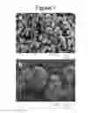 Fig. 09 - Solvent methods for preparing crystalline macrolide particulates, compositions, and articles containing particulates