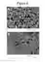 Fig. 10 - Solvent methods for preparing crystalline macrolide particulates, compositions, and articles containing particulates