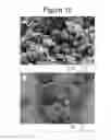 Fig. 12 - Solvent methods for preparing crystalline macrolide particulates, compositions, and articles containing particulates