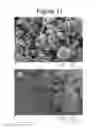 Fig. 13 - Solvent methods for preparing crystalline macrolide particulates, compositions, and articles containing particulates