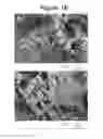 Fig. 17 - Solvent methods for preparing crystalline macrolide particulates, compositions, and articles containing particulates