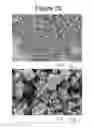 Fig. 19 - Solvent methods for preparing crystalline macrolide particulates, compositions, and articles containing particulates