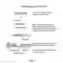 Fig. 02 - METHOD OF MOLECULAR TYPING