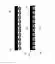 Fig. 02 - LAMINATES
