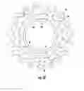 Fig. 08 - Sprocket module for a bicycle and sprocket assembly comprising such a module