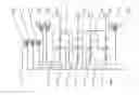 Fig. 01 - Multi-ratio transmission