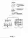 Fig. 02 - DETECTION OF NUCLEIC ACID SEQUENCE DIFFERENCES USING COUPLED LIGASE DETECTION AND POLYMERASE CHAIN REACTIONS