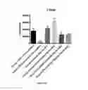 Fig. 17 - Compositions, method, and kits for treating pulmonary conditions