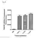 Fig. 07 - Lipopolyamines of spermine type for construction of liposomal transfection systems