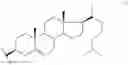 Fig. 20 - Lipopolyamines of spermine type for construction of liposomal transfection systems