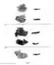 Fig. 07 - Nanotherapeutic Colloidal Metal Compositions and Methods