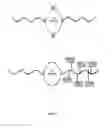 Fig. 22 - Nanotherapeutic Colloidal Metal Compositions and Methods