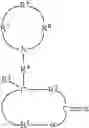 Fig. 07 - Polymers functionalized with lactones or thiolactones containing a protected amino group