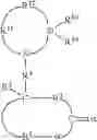 Fig. 09 - Polymers functionalized with lactones or thiolactones containing a protected amino group
