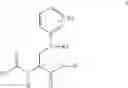 Fig. 03 - Process for the preparation of enantiomeric forms of 2,3-diaminopropionic acid derivatives