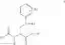 Fig. 04 - Process for the preparation of enantiomeric forms of 2,3-diaminopropionic acid derivatives