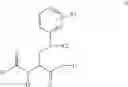 Fig. 22 - Process for the preparation of enantiomeric forms of 2,3-diaminopropionic acid derivatives