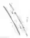 Fig. 03 - Windshield Wiper Blade