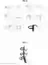 Fig. 07 - METHOD FOR FORMING ORNAMENTAL TREE BY PRUNING AND INDUCING GROWTH OF BRANCHES