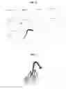 Fig. 09 - METHOD FOR FORMING ORNAMENTAL TREE BY PRUNING AND INDUCING GROWTH OF BRANCHES