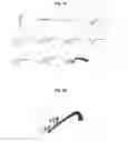 Fig. 12 - METHOD FOR FORMING ORNAMENTAL TREE BY PRUNING AND INDUCING GROWTH OF BRANCHES