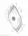 Fig. 02 - MULTI-HANDLED SEALED BAG