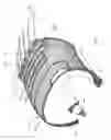 Fig. 02 - Low-Metal Tire