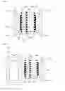 Fig. 02 - Electrolysis bath for acidic water and method for using the acidic water