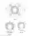 Fig. 03 - ENERGY-EFFICIENT SOLAR-POWERED OUTDOOR LIGHTING