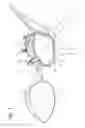 Fig. 02 - Mirror assembly with adjustable fastening