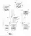 Fig. 01 - WIRELESS COMMUNICATION DEVICE, WIRELESS COMMUNICATION SYSTEM, WIRELESS COMMUNICATION METHOD, AND PROGRAM