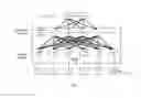 Fig. 02 - IMPLEMENT EQUAL COST MULTIPLE PATH OF TRILL NETWORK