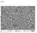 Fig. 04 - Bearing component