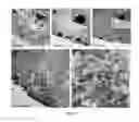 Fig. 09 - Method of treating food allergies by administering a nanoparticle comprising heparin and chitosan encapsulating IL-12