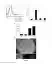 Fig. 22 - Method of treating food allergies by administering a nanoparticle comprising heparin and chitosan encapsulating IL-12