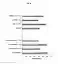 Fig. 08 - Granulysin in immunotherapy