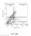 Fig. 40 - Stem cell preparations and methods of use