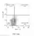 Fig. 41 - Stem cell preparations and methods of use