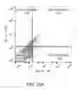 Fig. 43 - Stem cell preparations and methods of use