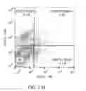 Fig. 46 - Stem cell preparations and methods of use