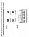 Fig. 04 - ENGINEERED PEPTIDE (EP)-DIRECTED PROTEIN INTERCELLULAR DELIVERY SYSTEM AND USES THEREOF