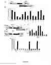 Fig. 04 - Materials and methods relating to packaging cell lines