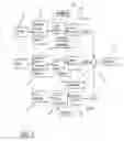 Fig. 02 - Reprogramming of Aged Adult Stem Cells
