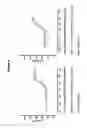 Fig. 07 - Binding molecules for BCMA and CD3