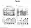 Fig. 16 - Modulation of activity of proneurotrophins