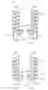 Fig. 33 - Disk