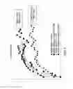 Fig. 02 - Perceptual-cognitive-motor learning system and method
