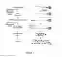 Fig. 02 - Method for amplifying cDNA derived from trace amount of sample